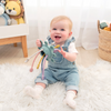 Pull String Interactive Toy - Dusty