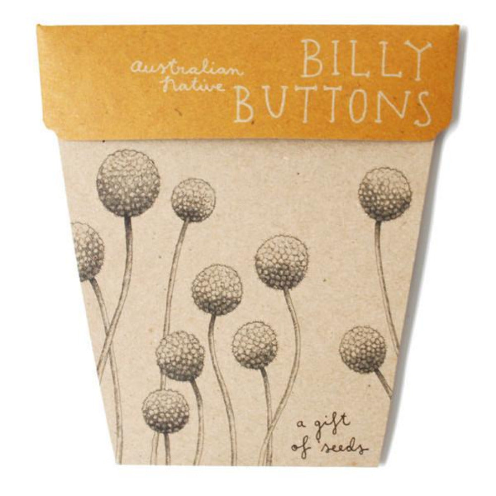 Gift of Seeds - Billy Buttons - Oxley and Moss