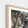 Byron Roadtrip Print