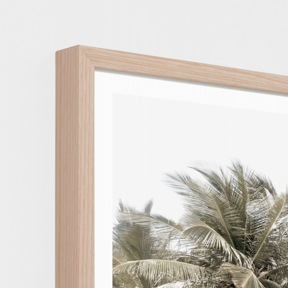 Tropical Shelter Print