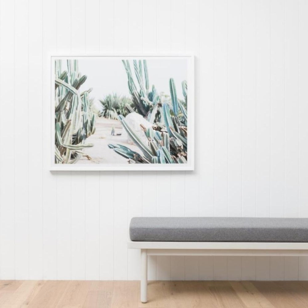 Framed Print - Cactus Path - Oxley and Moss