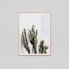 Cactus Resort Framed Print