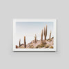 Framed Print - Cactus View - Oxley and Moss