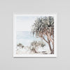 Framed Print - Coastal Palms - Oxley and Moss