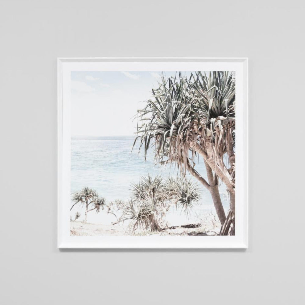 Framed Print - Coastal Palms - Oxley and Moss