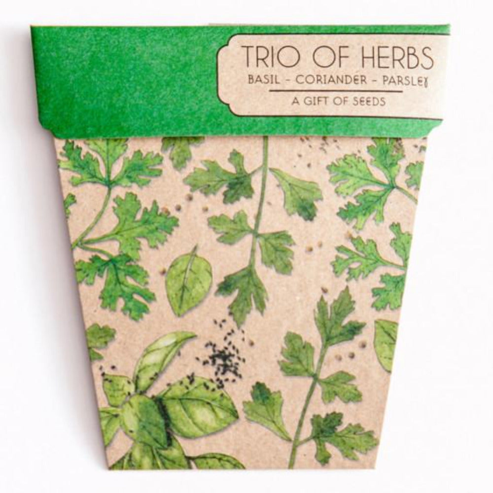 Gift of Seeds - Trio of Herbs - Oxley and Moss