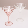 Flemington Acrylic Martini Glass