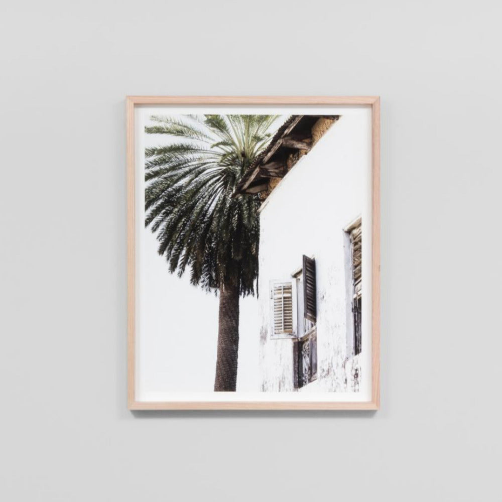 Palm Window Framed Print