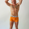 Organic Cotton Mens Underwear