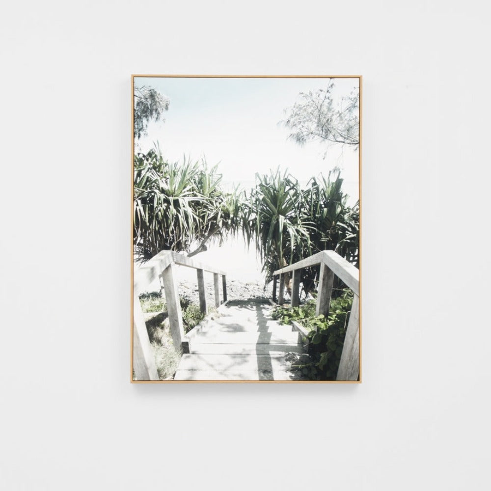 Shady Path Canvas Print