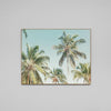 Canvas Print - Summer Palms - Oxley and Moss