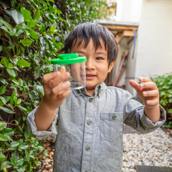 Insect Spotter Bug Spotter Kit– Oxley and Moss