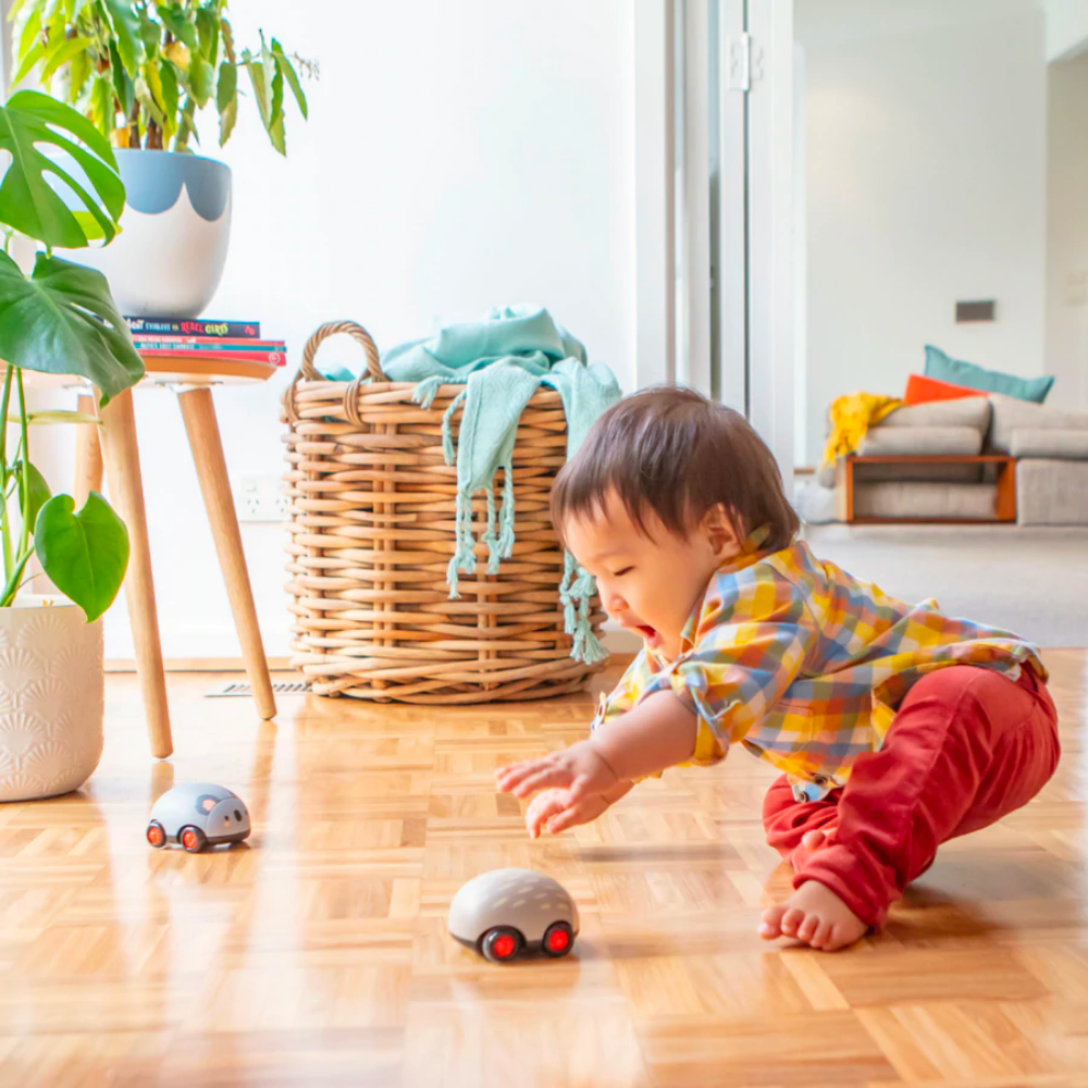 Pull-Backs - Aussie Animals