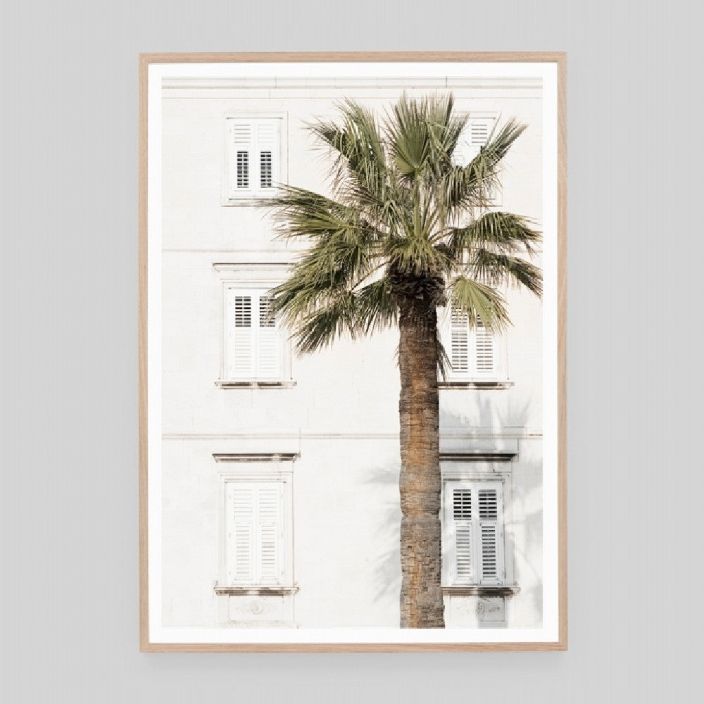 Tropical Afternoon Framed Print